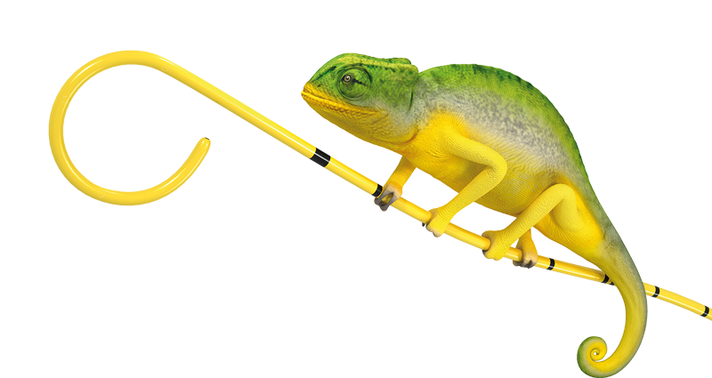ut-chameleon-maskottchen